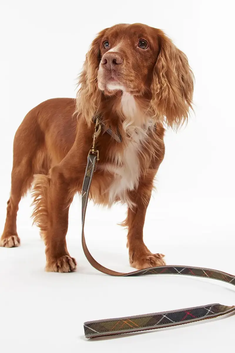 quinzaglio Reflective Tartan Dog 100 cm colore verde