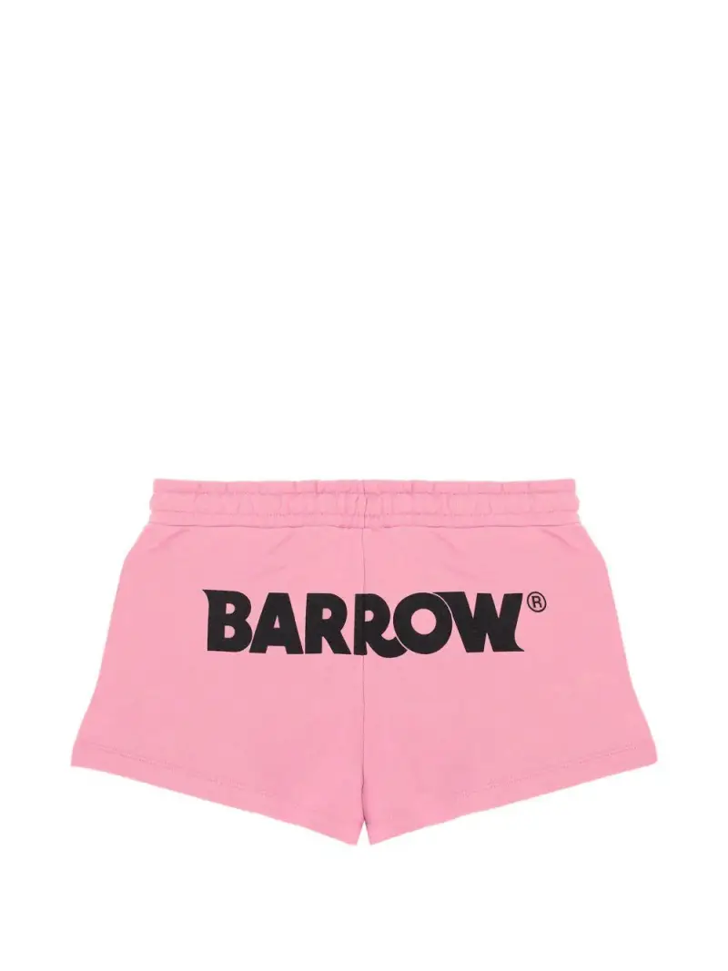 S6BKJGSH013BW311 Rosa miniatura 3