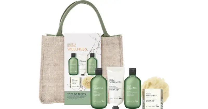 Wellness Energise confezione regalo trousse di cosmetici Ginger, Lime & Basil Leaf