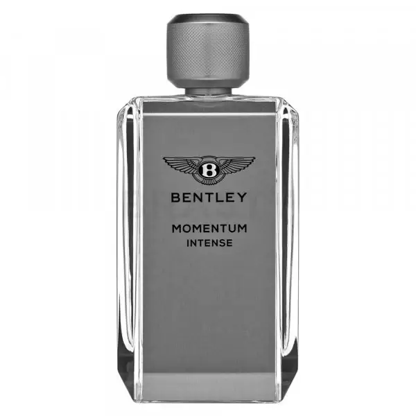 Momentum Intense EDP M 100 ml