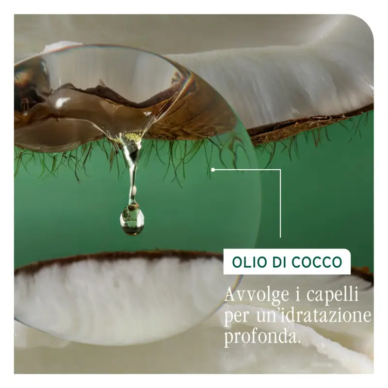 Bond Therapy Shampoo - Capelli secchi, Capelli fini miniatura 5