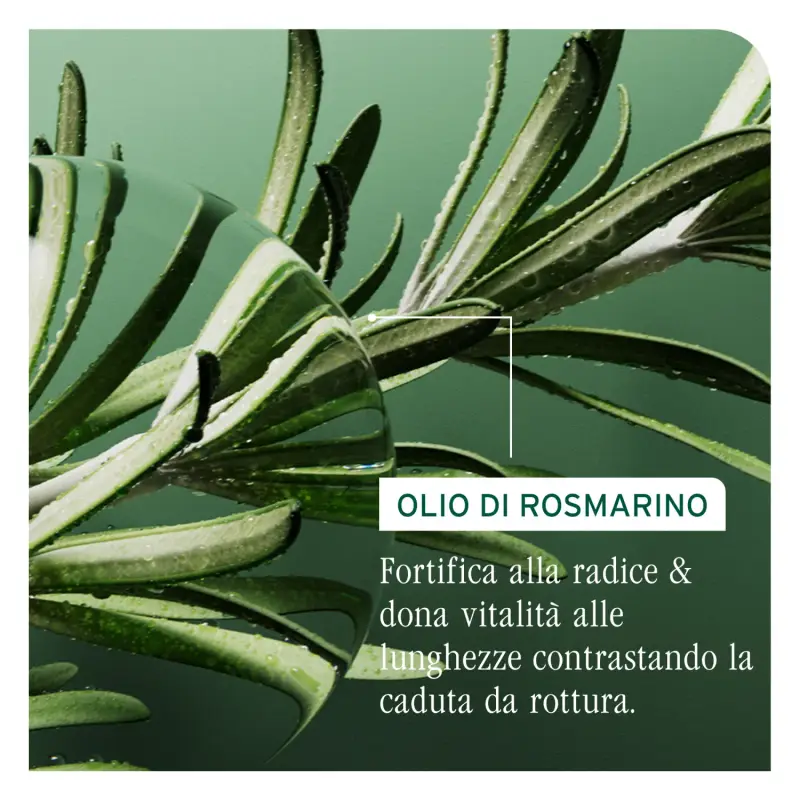 Full Rescue Siero Rivitalizzante - Siero capelli miniatura 4