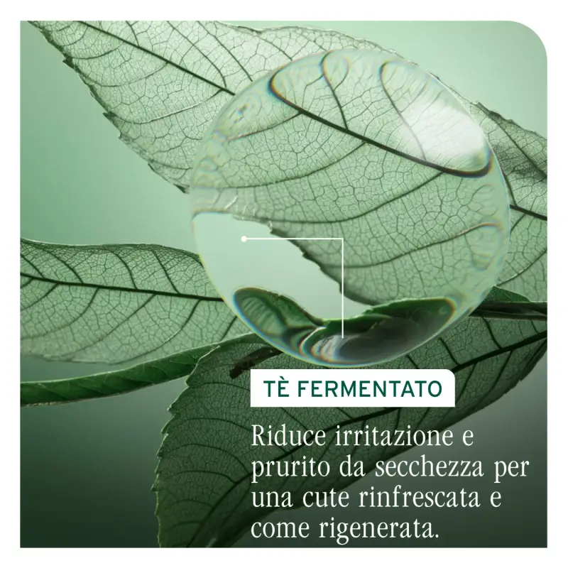 Scalp Sync Purifying Scalp Concentrate - Styling e trattamento capelli miniatura 5