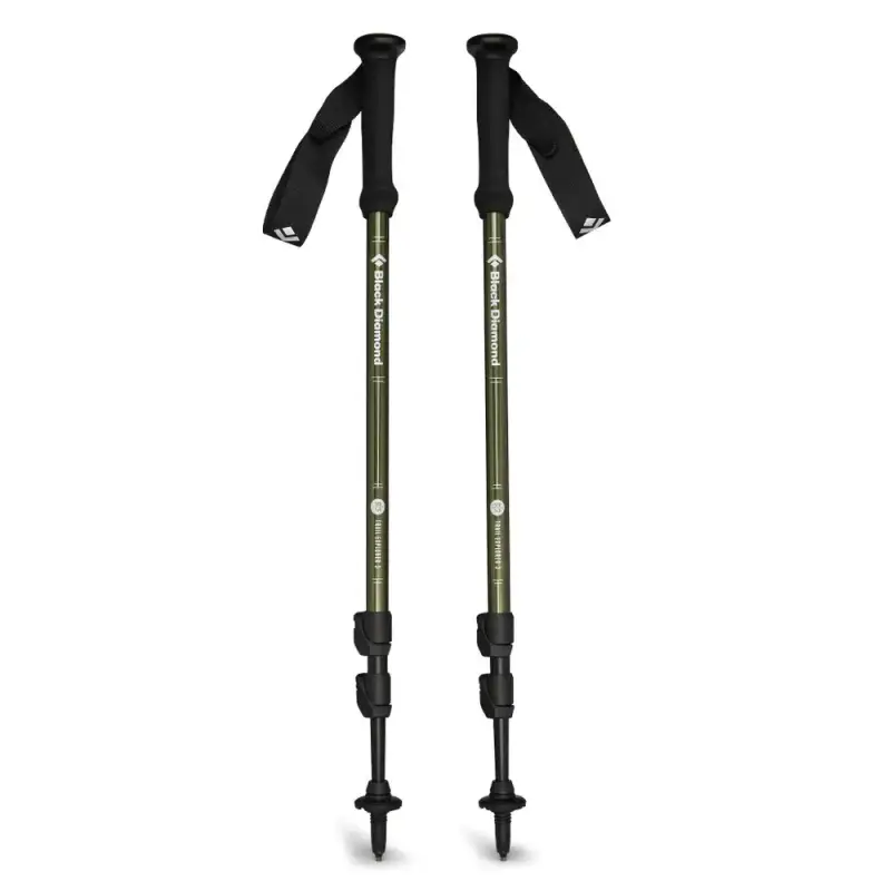 Bastoncini da trekking Black Diamond Explorer 3 (x2)