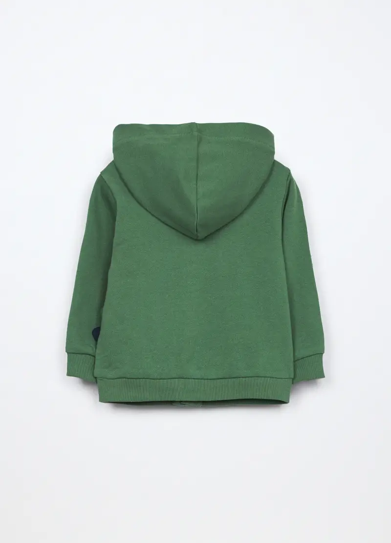Felpa Con Cappuccio In French Terry Di Puro Cotone Neonato, Bambino, Verde foglia miniatura 2