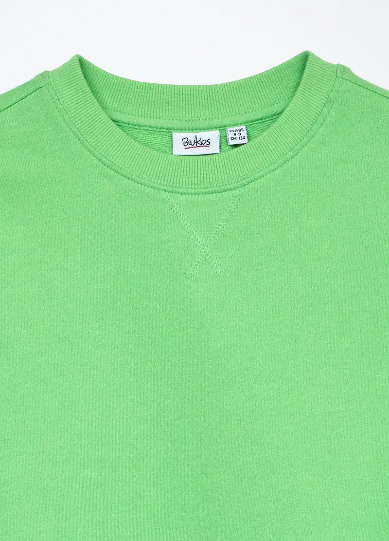 Felpa In French Terry Di Puro Cotone Bambino, Verde mela miniatura 3