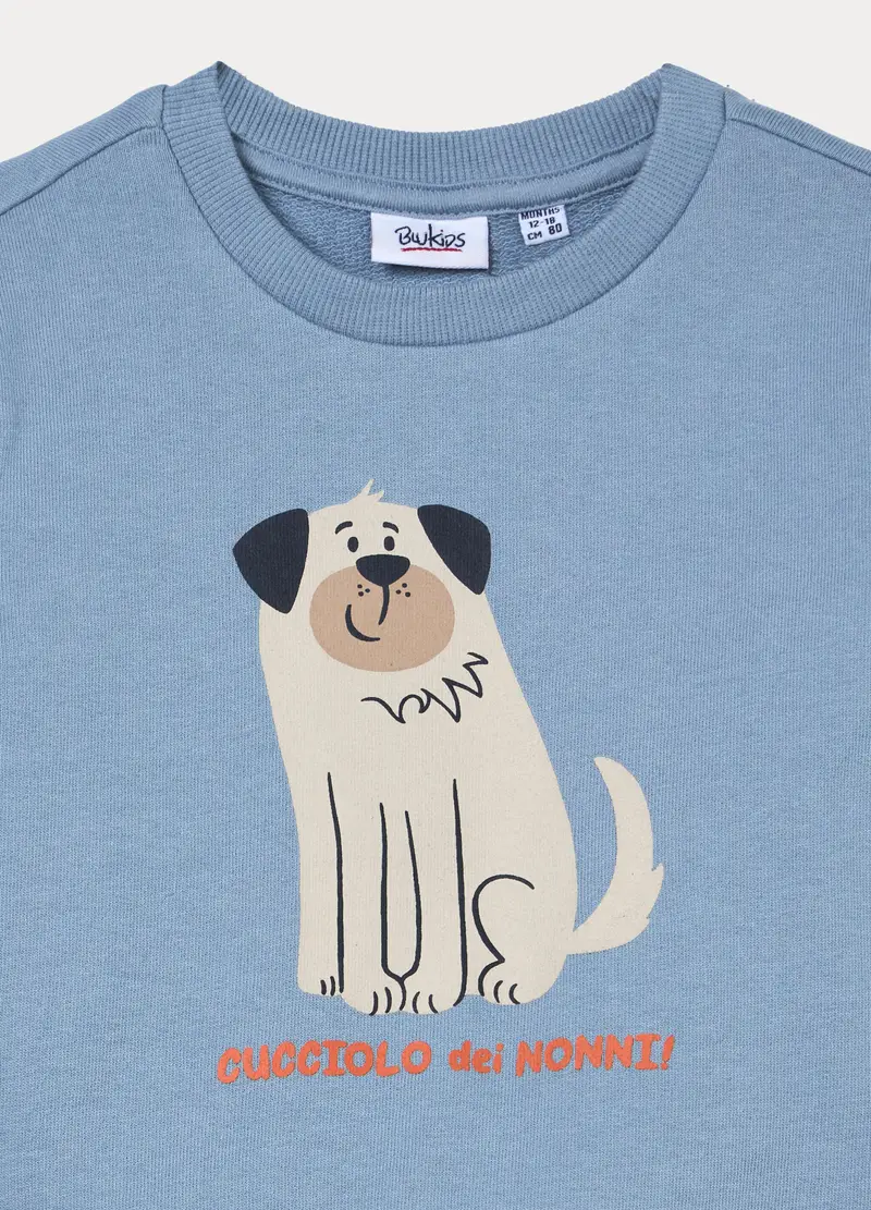 Felpa In French Terry Di Puro Cotone Bimbo, Bambino, Azzurro chiaro miniatura 3