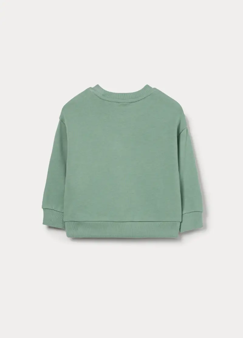 Felpa In French Terry Di Puro Cotone Bimbo, Bambino, Verde salvia