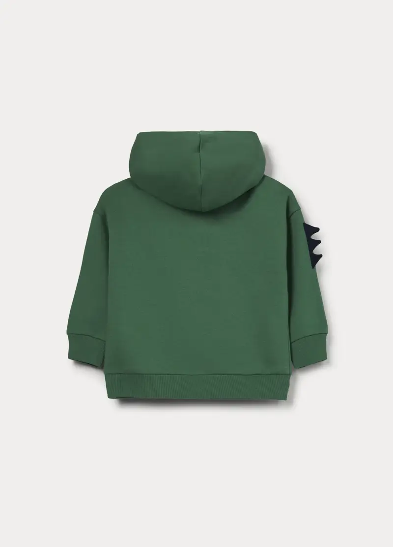 Felpa In French Terry Di Puro Cotone Bimbo, Bambino, Verde scuro miniatura 2