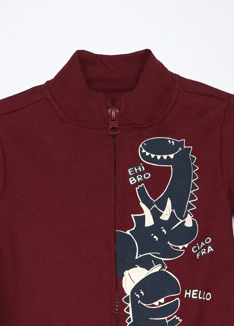 Jogging Set In French Terry Di Puro Cotone Neonato, Bambino, Rosso scuro miniatura 3