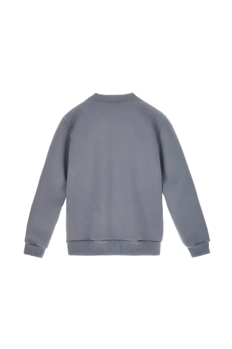 Felpa girocollo grigio interno felpato Boardman 600 [IRON] miniatura 3