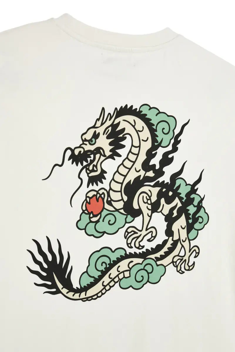 T-shirt grigia stampa grafica retro Boardman alpha PT-T-9061 [GRIGIO] miniatura 4