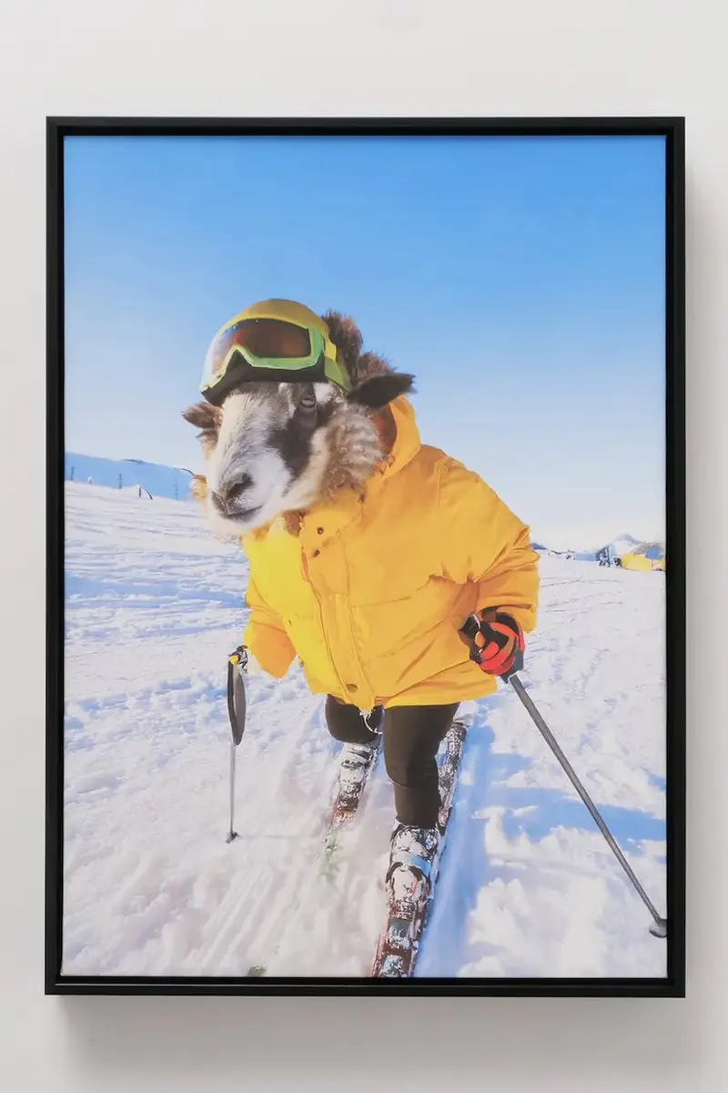 decorazione da parete in cornice Skian 40 x 55 cm Multicolore miniatura 2