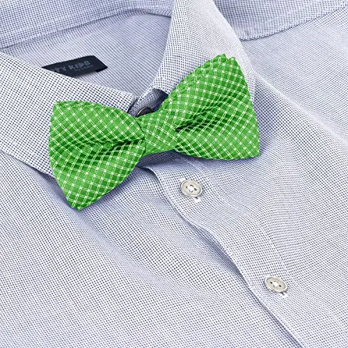 BomGuard Papillon Verde 2989906 miniatura 2