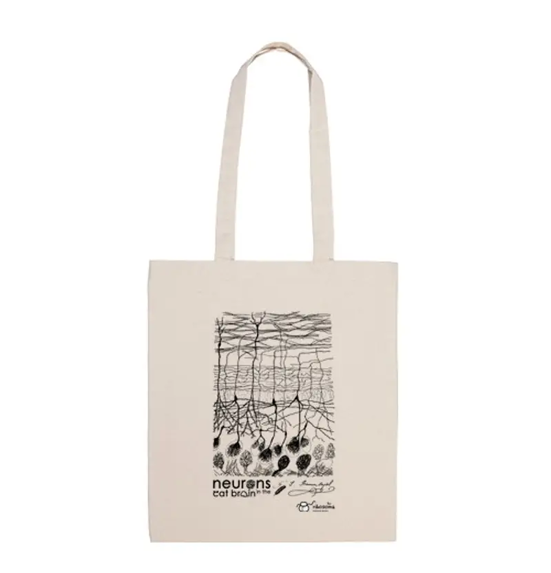 Borsa di tela neuroni nel gatto brain