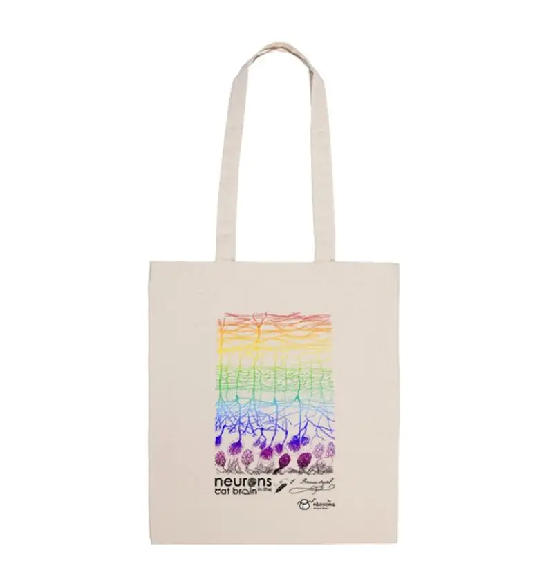 Borsa di tela neuroni nel gatto brain