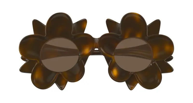 Unisex BV1399S 008 Occhiali da sole Iniettato Havana Marrone Geometrica miniatura 2