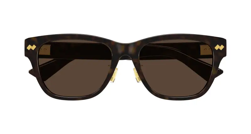 Unisex BV1402SK 006 Occhiali da sole Acetato Havana Marrone Squadrata miniatura 2