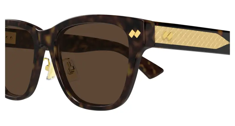 Unisex BV1402SK 006 Occhiali da sole Acetato Havana Marrone Squadrata miniatura 3
