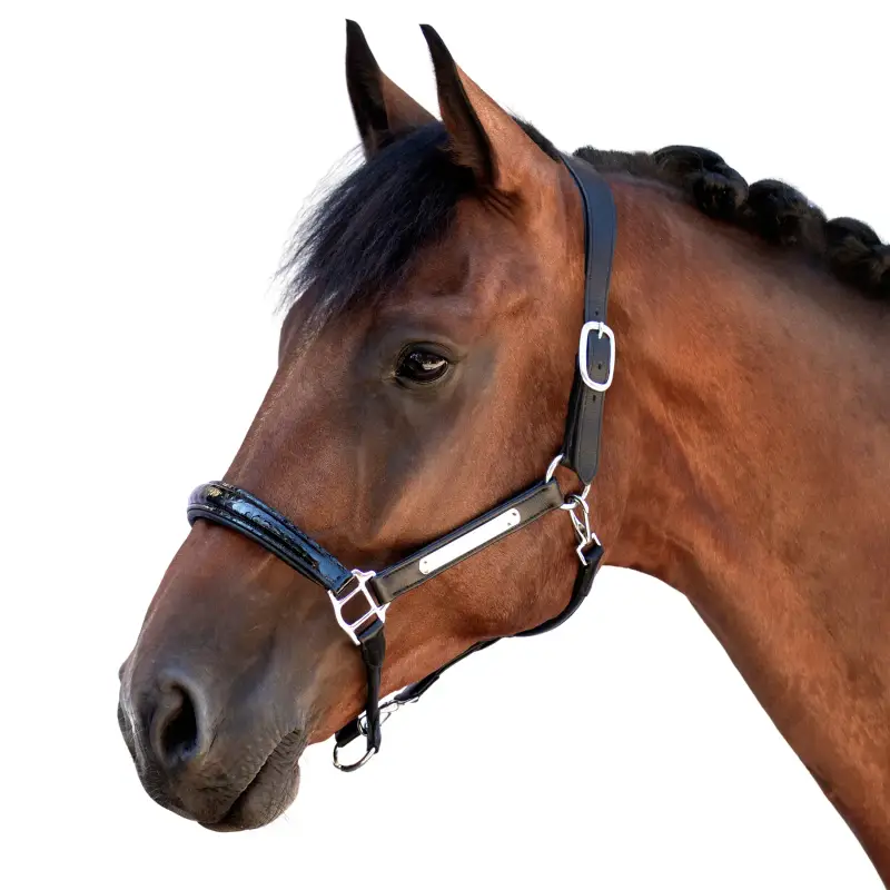 Bridlery Cavezza in cuoio Eternity Warmblut