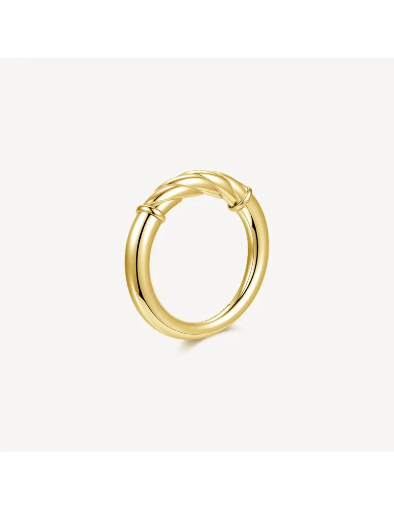 Anello BROSWAY Amy in acciaio 316L pvd oro 14K BAY34B - Misura 14