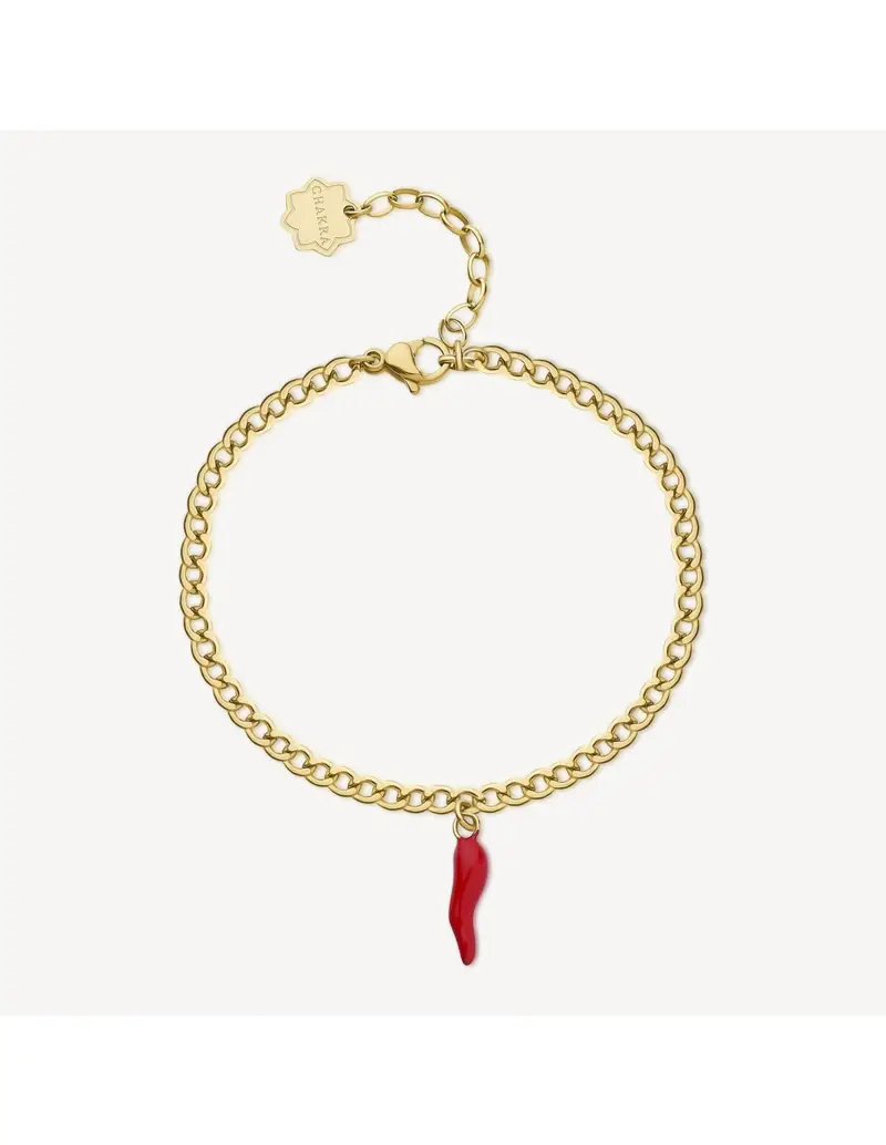 Bracciale BROSWAY CHAKRA in acciaio 316L dorato BHKB140 Cornetto Rosso