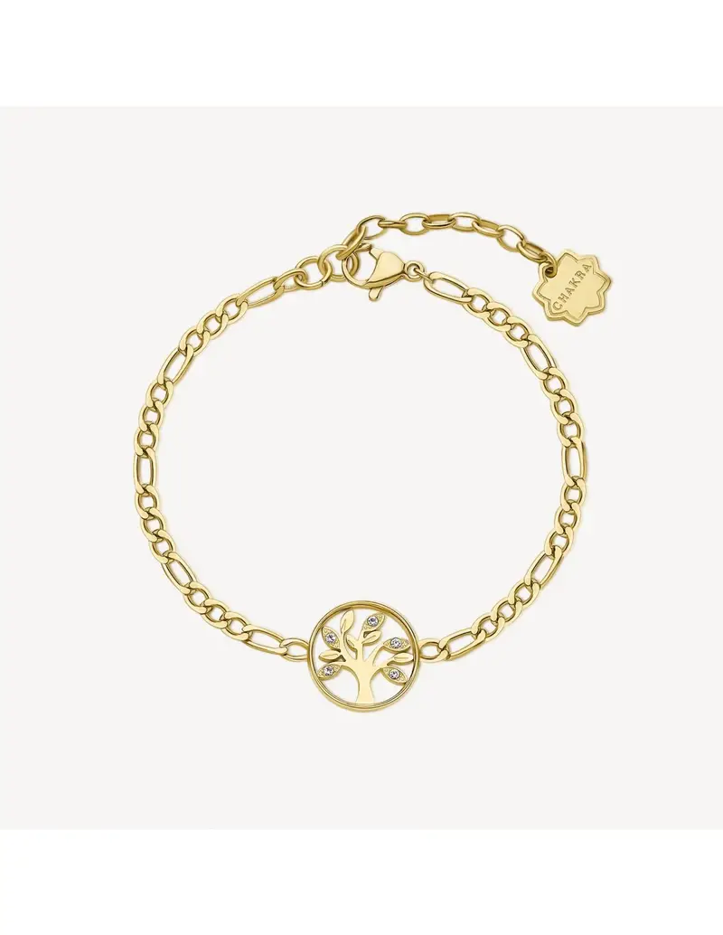 Bracciale BROSWAY CHAKRA in acciaio 316L dorato BHKB144 Albero della Vita
