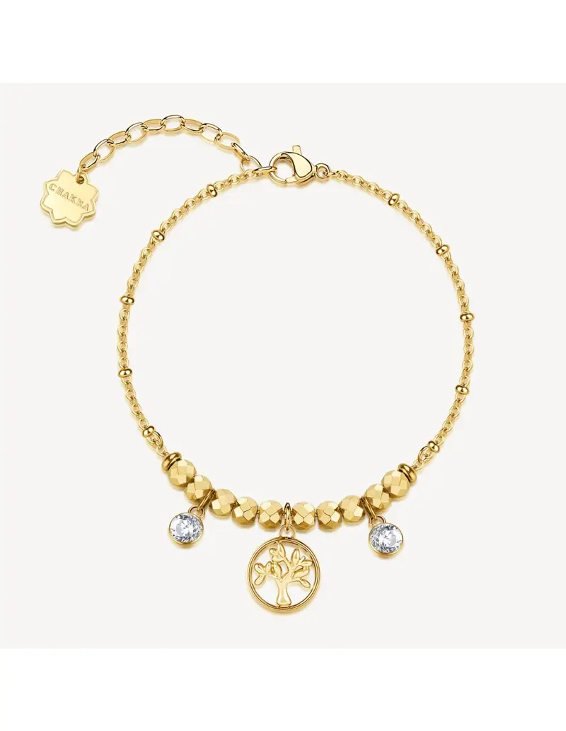 Bracciale BROSWAY Chakra Mistici in acciaio 316L dorato e Albero della Vita BHKB270