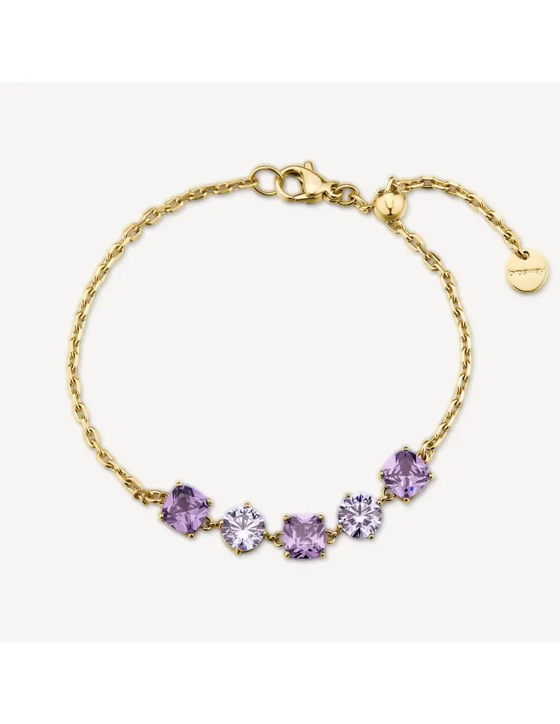 Bracciale BROSWAY Dreaming in acciaio 316L dorato e cristalli amethyst BIG13