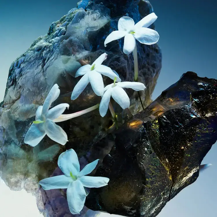 Le Gemme Amunae Eau de Parfum 60ml miniatura 5