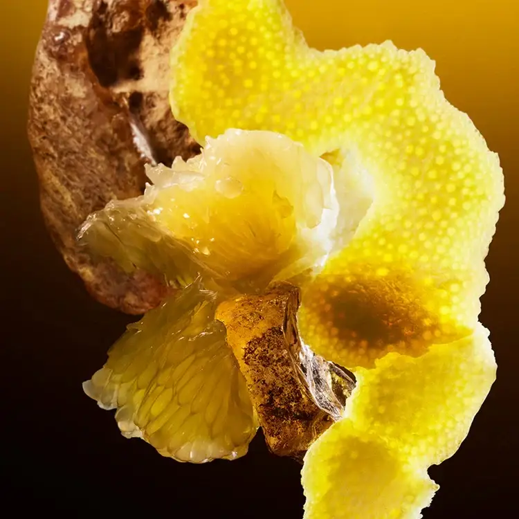 Le Gemme Tygar Eau de Parfum 60ml miniatura 5