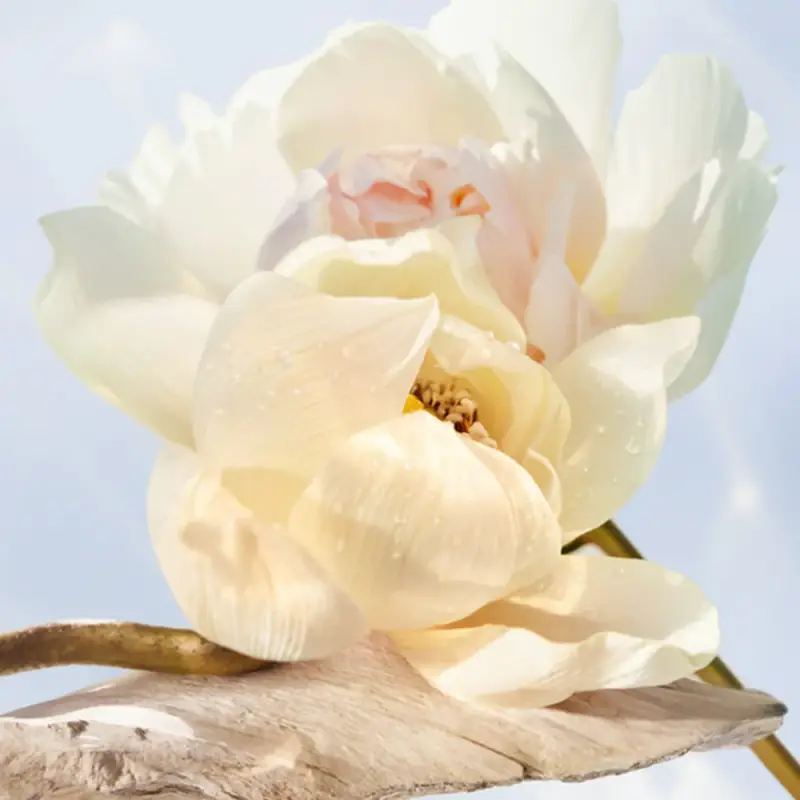 Bulgari Eau de Toilette Donna 2993398 miniatura 3