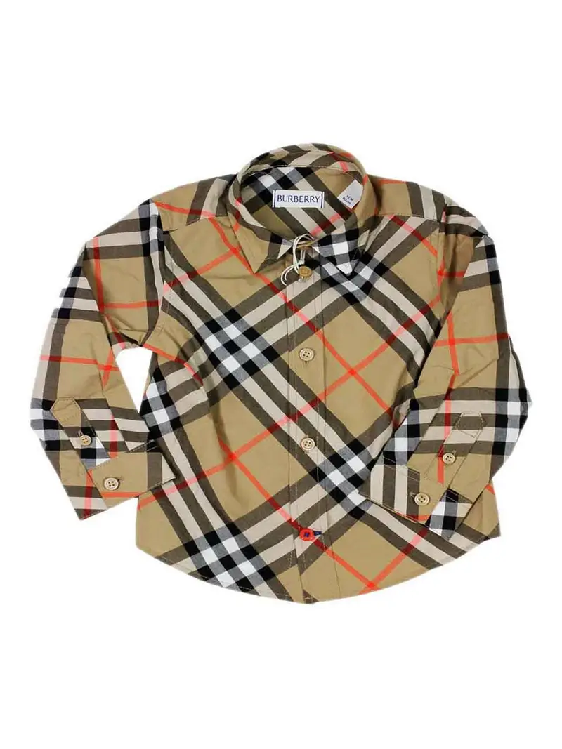 Burberry Camicie Grigio 3293918