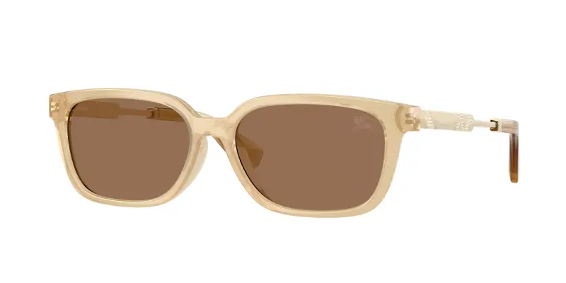 Burberry Occhiali da sole Donna Marrone 2734394