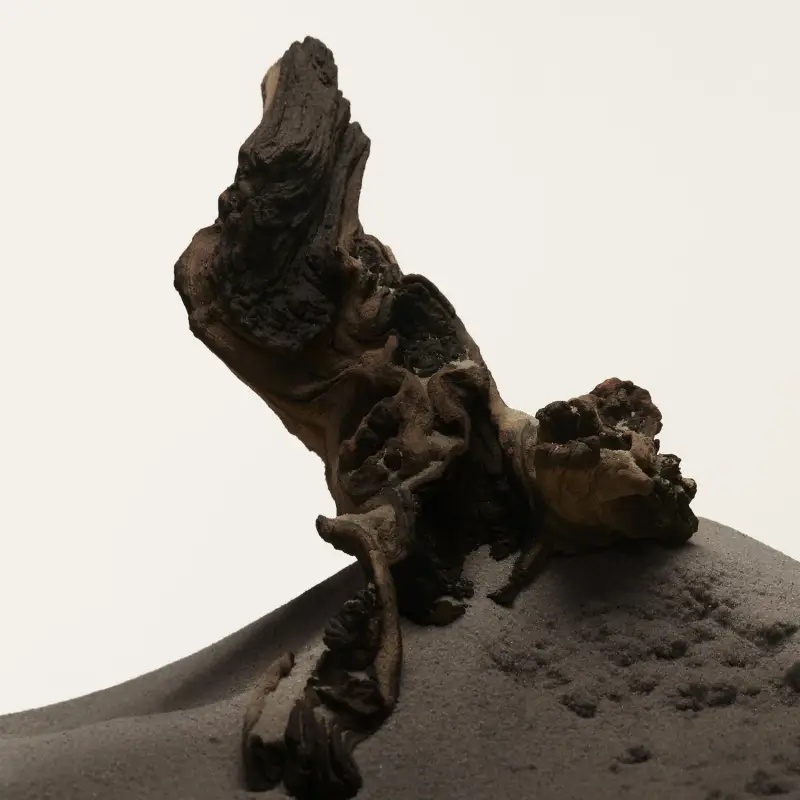 Burberry Eau de Toilette Uomo Nero 3072723 miniatura 4