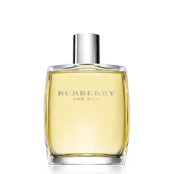 Burberry Eau de Toilette Uomo 3064733
