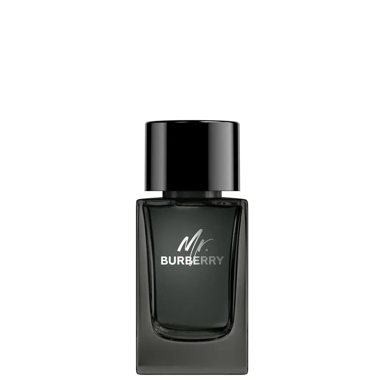 Burberry Mr Burberry Eau de Parfum 100ML