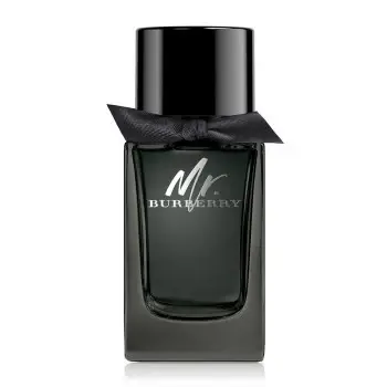 Mr. Burberry - EDP - Volume 150 ml