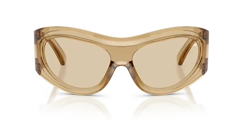 Unisex BE4465 412373 Occhiali da sole Iniettato Marrone Marrone Geometrica Normale miniatura 3