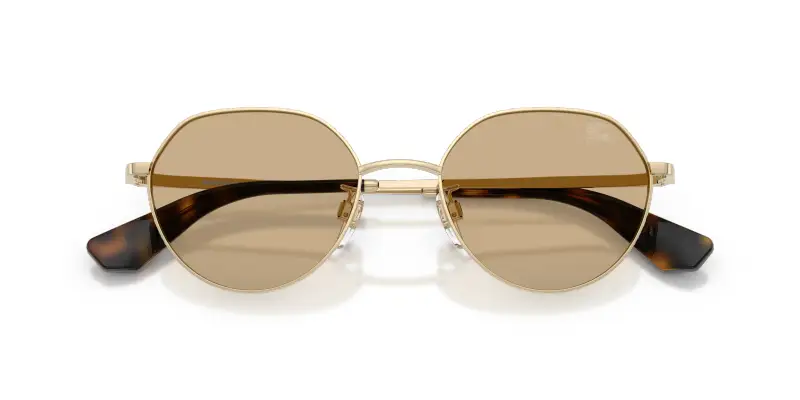 Unisex Burberry BE3173D 110973 Occhiali da sole Metallo Oro Marrone Rotonda Normale miniatura 2