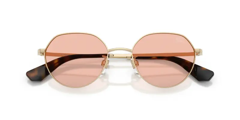 Unisex Burberry BE3173D 110984 Occhiali da sole Metallo Oro Rosa Rotonda Normale miniatura 2