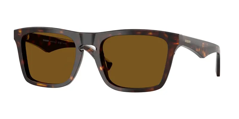 Burberry Occhiali da sole Uomo Marrone 838120