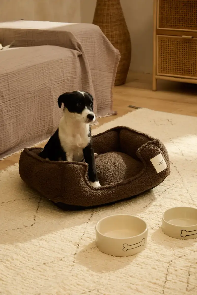 cuccia per animali 50 x 40 x 15 cm Marrone miniatura 4