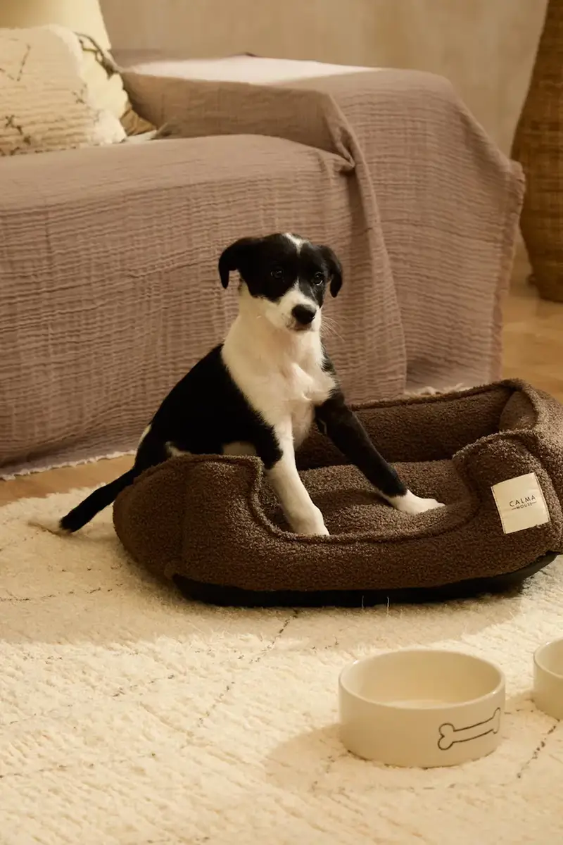 cuccia per animali 50 x 40 x 15 cm Marrone miniatura 5