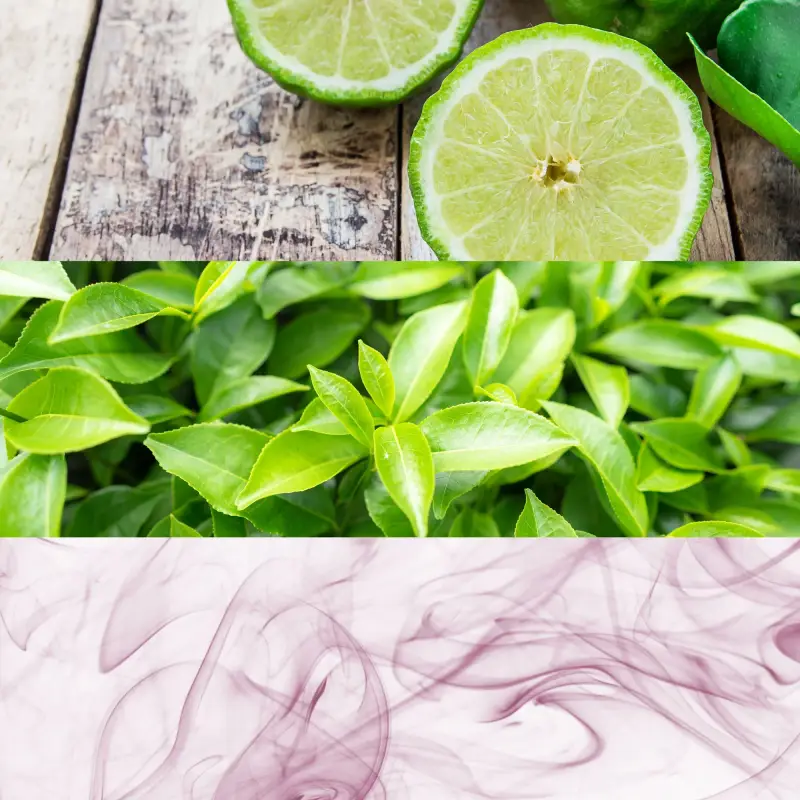 Calvin Klein Eau de Toilette Uomo Rosa 3072020 miniatura 4