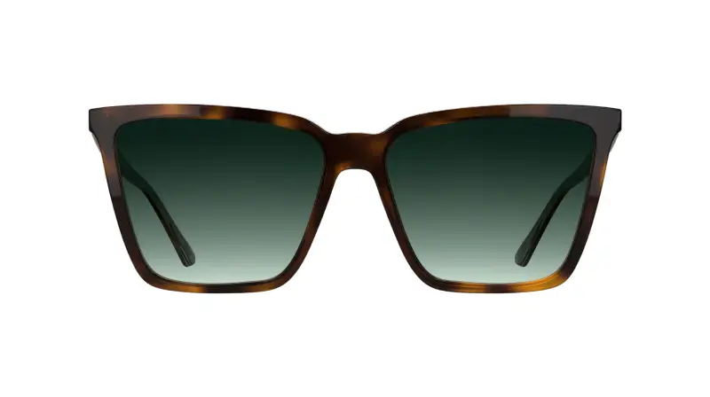 Calvin Klein Occhiali da sole Donna Multicolore 4198334 miniatura 2