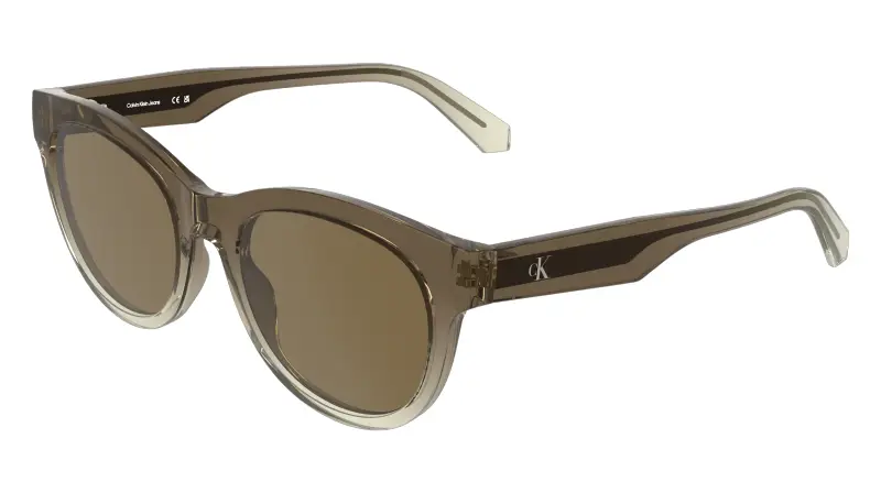 Calvin Klein Occhiali da sole Donna Marrone 4268719