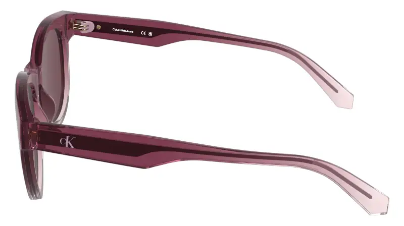 Calvin Klein Occhiali da sole Donna Viola 4270323 miniatura 3