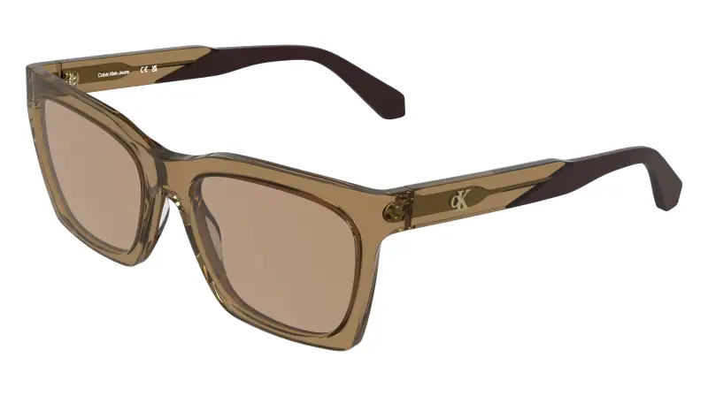 Calvin Klein Occhiali da sole Donna Marrone 4268721