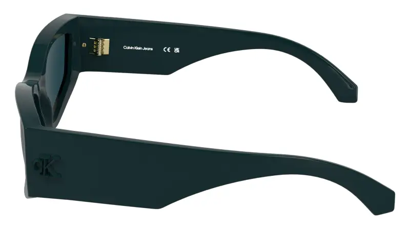 Calvin Klein Occhiali da sole Donna Multicolore 4269917 miniatura 3